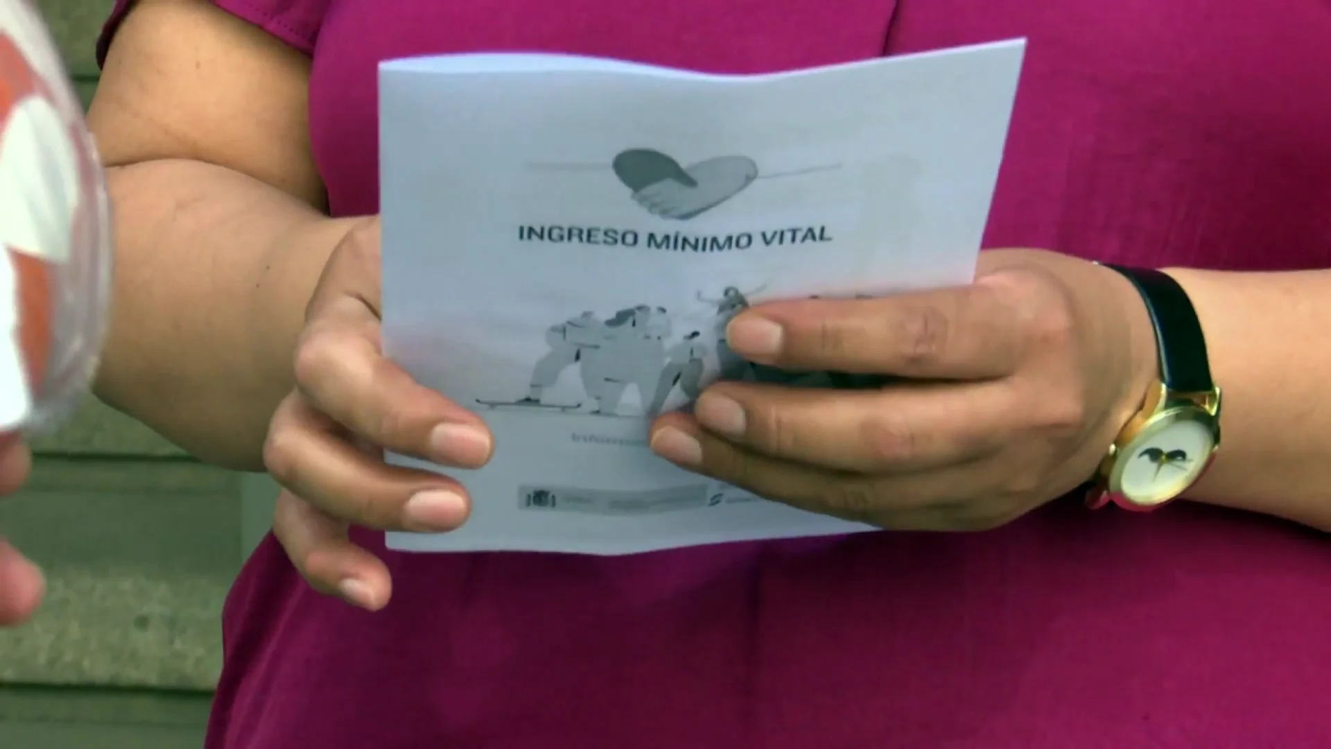 Ingreso Mínimo Vital Ingreso Mínimo Vital