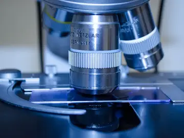 Investigación contra el cáncer Investigación contra el cáncer