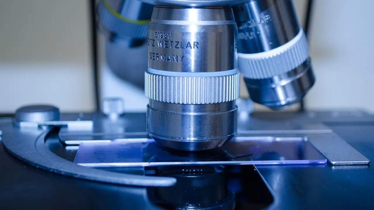 Investigación contra el cáncer Investigación contra el cáncer