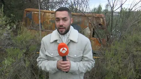 Violencia machista. Violencia machista.