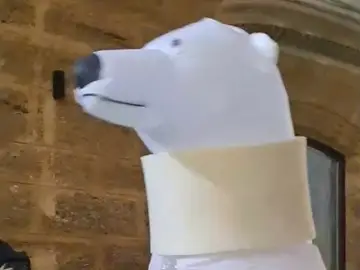 'Oso perjudicado' 'Oso perjudicado'