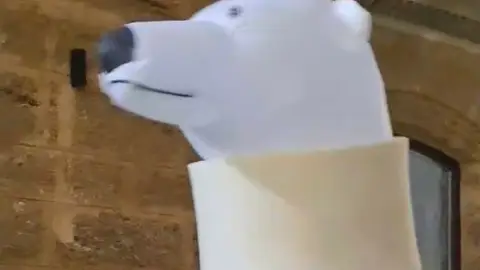 'Oso perjudicado' 'Oso perjudicado'