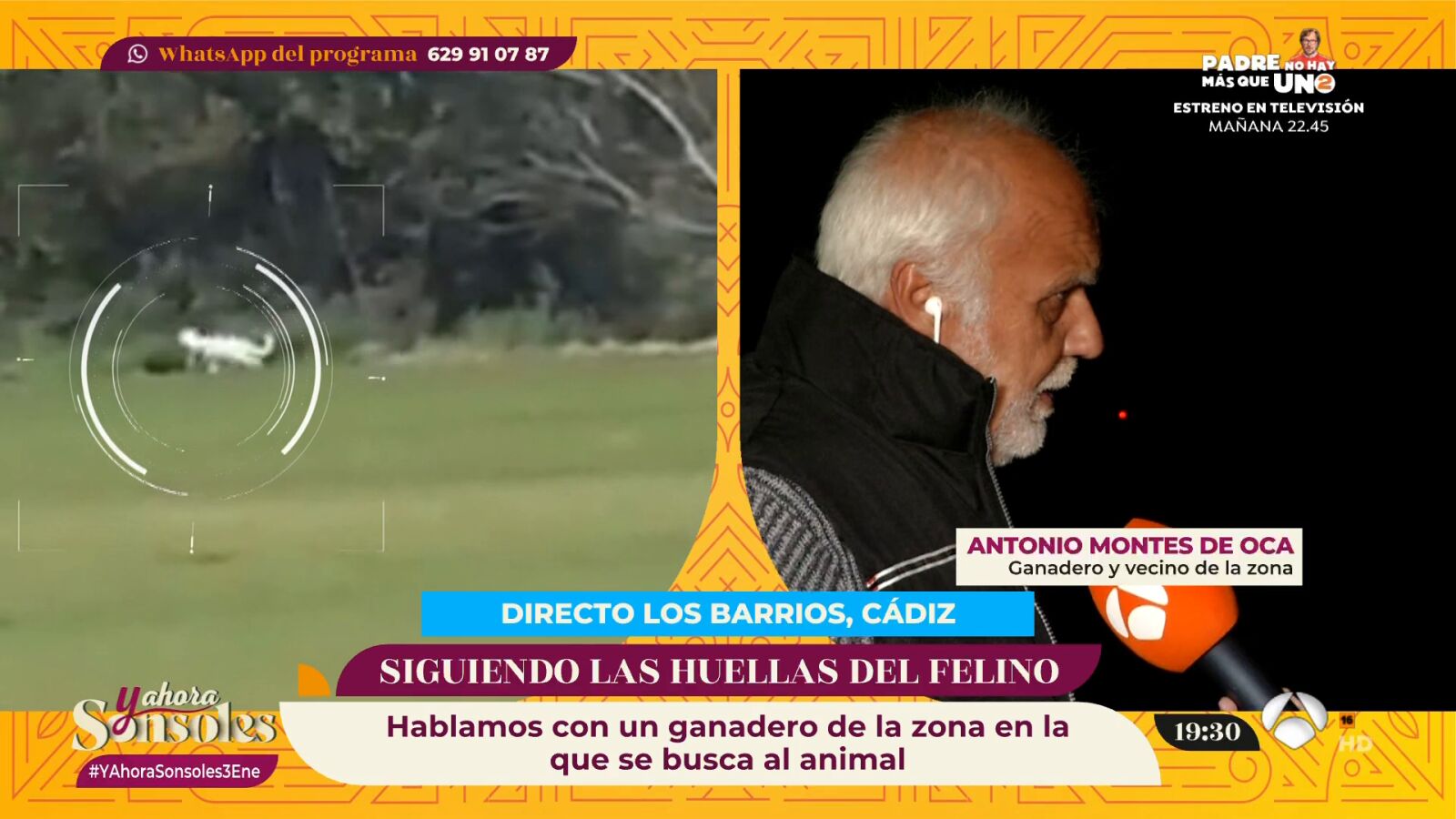 ¡Alerta felina en Los Barrios! Todavía no se ha localizado al animal que campa por el bosque