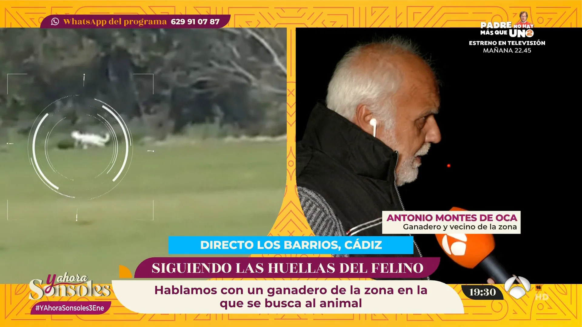 ¡Alerta felina en Los Barrios! Todavía no se ha localizado al animal que campa por el bosque ¡Alerta felina en Los Barrios! Todavía no se ha localizado al animal que campa por el bosque