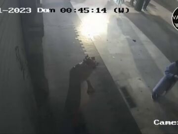 VÍDEO: Roban el buzón del Rey Gaspar 