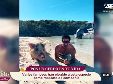 Miguel Ángel Muñoz, el último en caer en la tentación de unirse a la moda de posar con cerdos