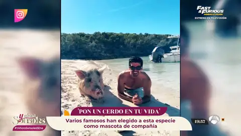Miguel Ángel Muñoz, el último en caer en la tentación de unirse a la moda de posar con cerdos Miguel Ángel Muñoz, el último en caer en la tentación de unirse a la moda de posar con cerdos