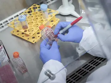Imagen de recurso de un investigador en su laboratorio Imagen de recurso de un investigador en su laboratorio