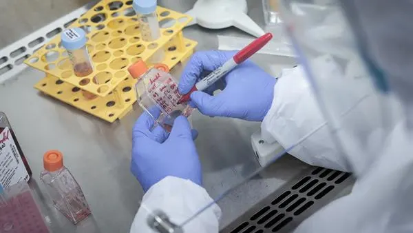 Imagen de recurso de un investigador en su laboratorio Imagen de recurso de un investigador en su laboratorio
