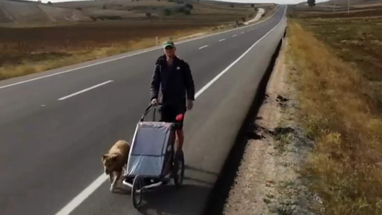 Tom y Savannah, el due&ntilde;o y su perra han dado la vuelta al mundo