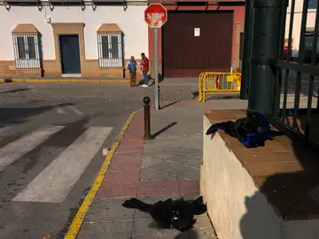 Lugar donde se produjo el accidente en Marchena, Sevilla Lugar donde se produjo el accidente en Marchena, Sevilla