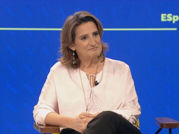 Teresa Ribera, vicepresidenta tercera del Gobierno