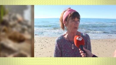 Habla una mujer que encontró el cadáver decapitado de Marbella: 