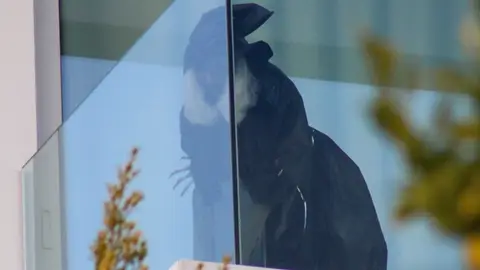 La bruja de la terraza de Shakira La bruja de la terraza de Shakira