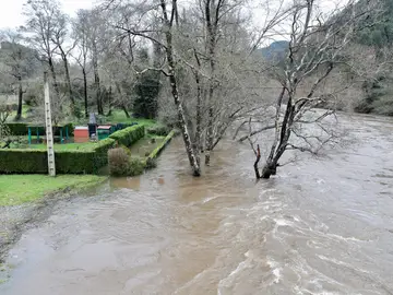 Imagen del pasado viernes del río Narcea a su paso por Quinzanas (Pravia). Imagen del pasado viernes del río Narcea a su paso por Quinzanas (Pravia).