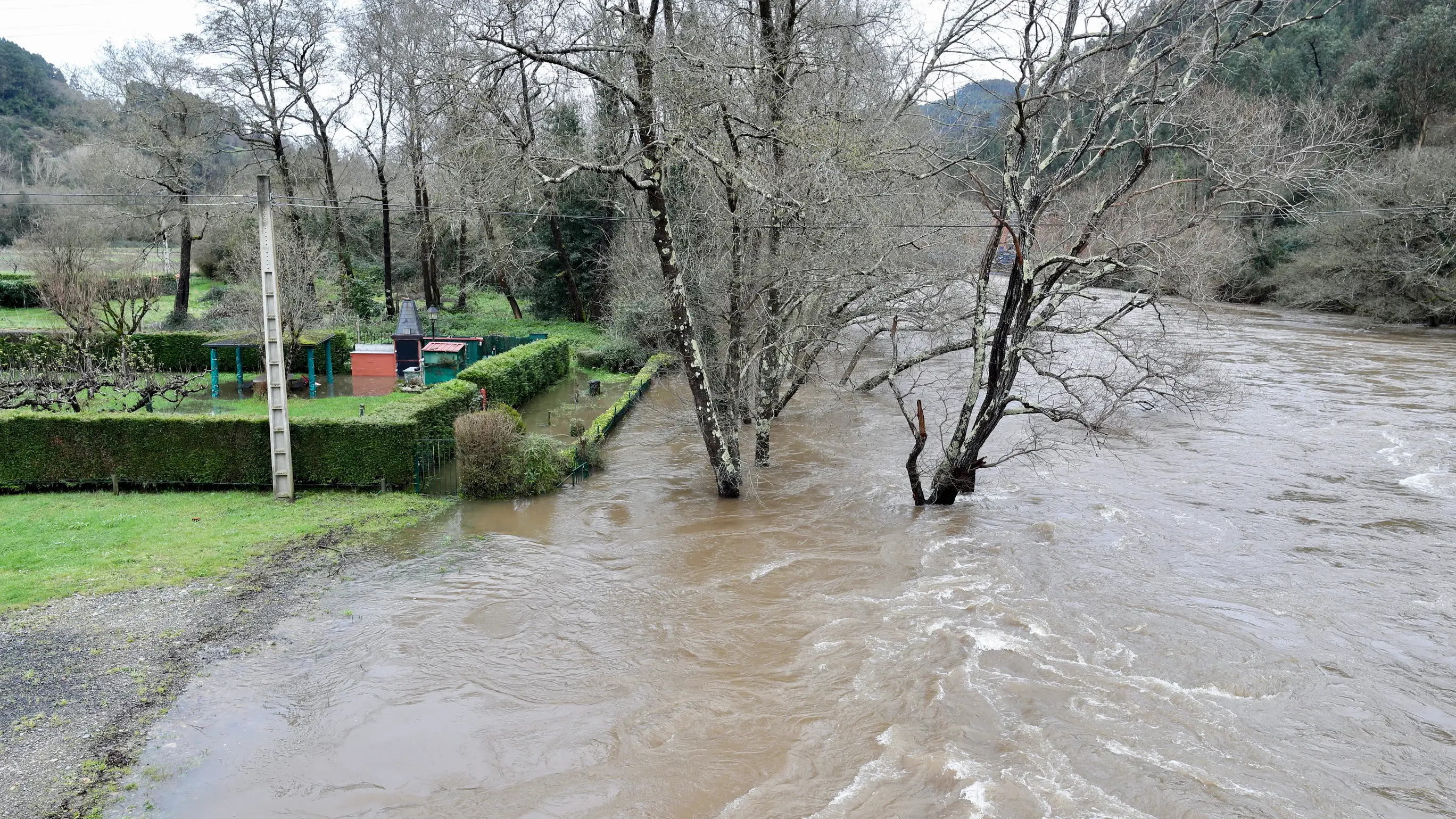 Imagen del pasado viernes del r&iacute;o Narcea a su paso por Quinzanas (Pravia). 