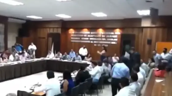 La inesperada aparición de dos mapaches en un pleno del Ayuntamiento de Acapulco (México) La inesperada aparición de dos mapaches en un pleno del Ayuntamiento de Acapulco (México)