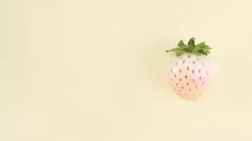 Pineberry, fresa blanca o albina
