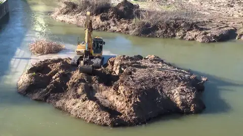 La isla de las toallitas La isla de las toallitas