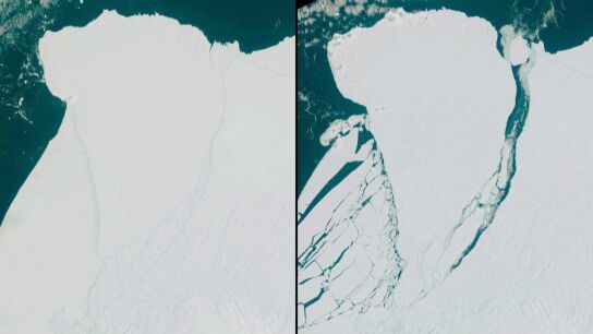 Iceberg