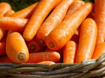 Zanahorias Zanahorias
