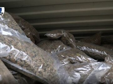 La Ertzaintza encuentra 3 toneladas de marihuana en un caserío de Orduña 