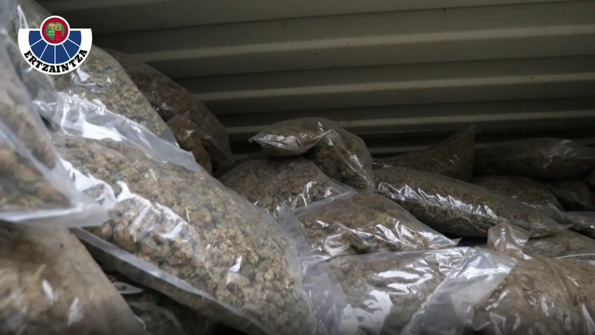 La Ertzaintza encuentra 3 toneladas de marihuana en un caserío de Orduña 