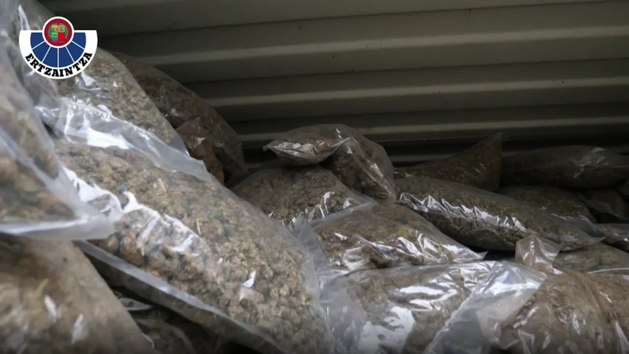 La Ertzaintza encuentra 3 toneladas de marihuana en un caser&iacute;o de Ordu&ntilde;a 