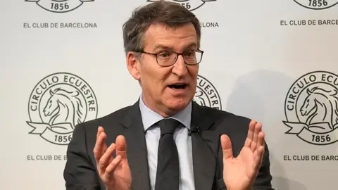 El líder del PP, Alberto Núñez Feijóo El líder del PP, Alberto Núñez Feijóo