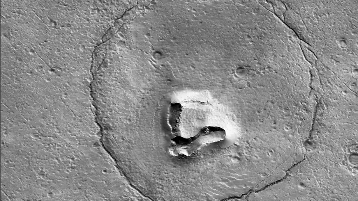 La NASA descubre un la cara de un oso en Marte La NASA descubre un la cara de un oso en Marte