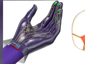 Guantes inteligentes Guantes inteligentes