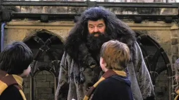 Harry y Ron con Hagrid en &#39;Harry Potter&#39;