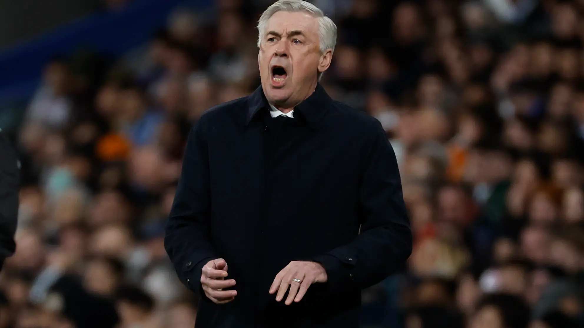 Carlo Ancelotti, entrenador del Real Madrid Carlo Ancelotti, entrenador del Real Madrid