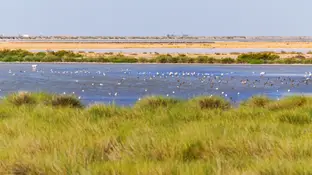 Parque Nacional de Doñana Parque Nacional de Doñana