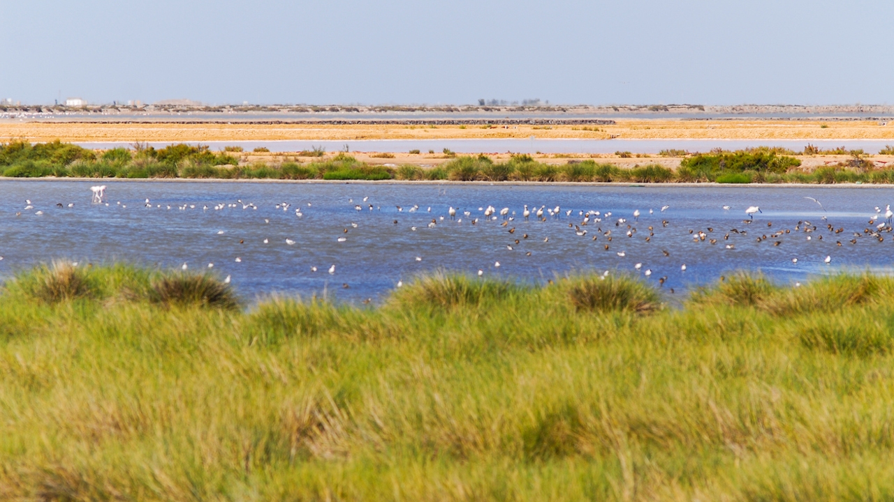 Estos son los 6 humedales de España en peligro