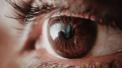 Plano detalle de ojo y pestañas Plano detalle de ojo y pestañas