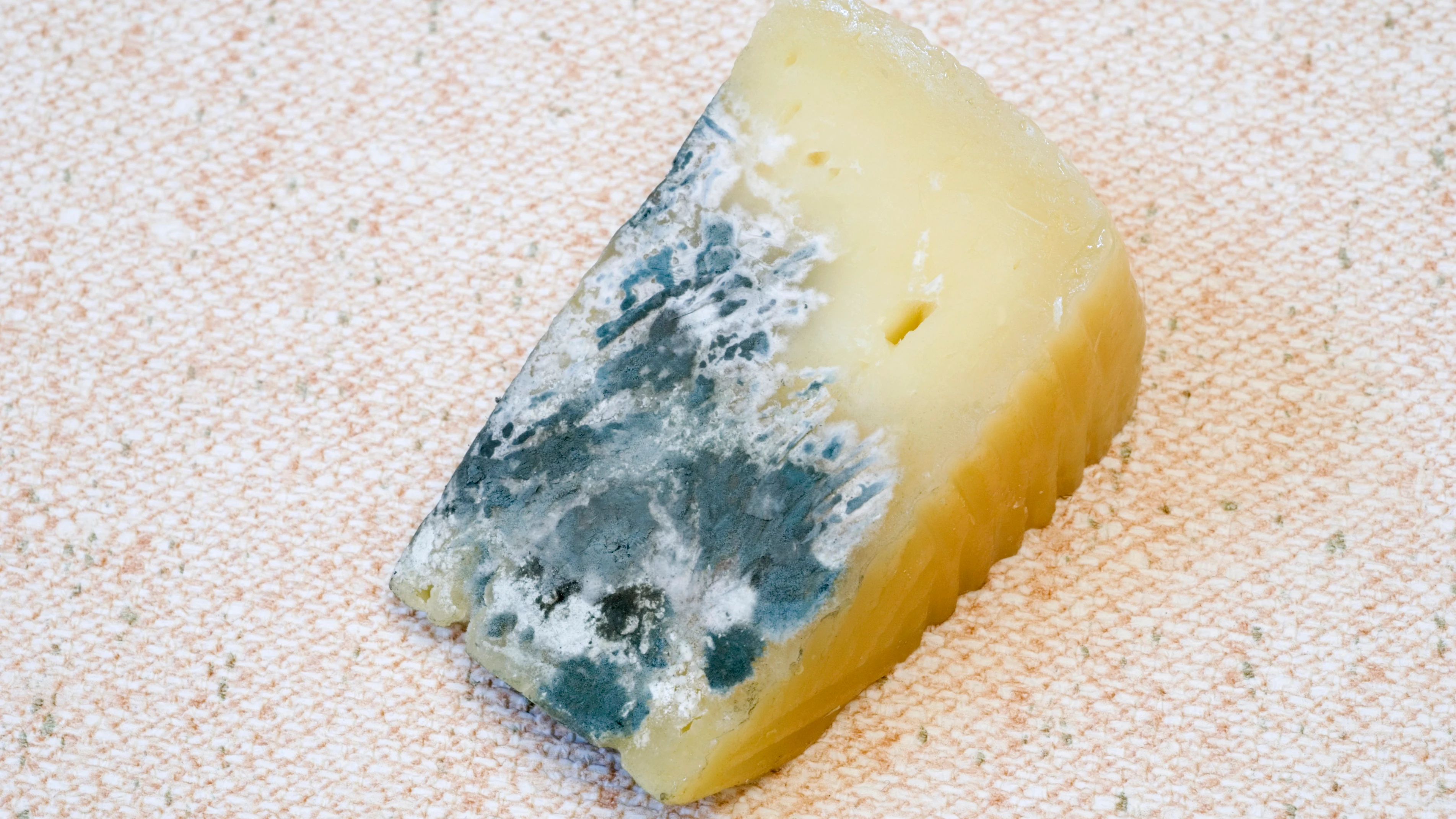Queso con moho Queso con moho