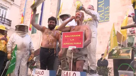 Apicultura Apicultura