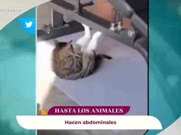 si lo veo me lo creo si lo veo me lo creo