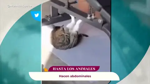 si lo veo me lo creo si lo veo me lo creo