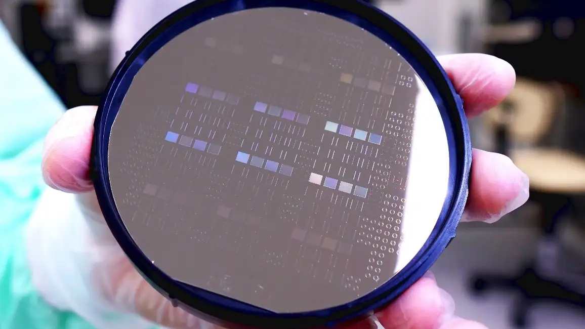 Microchip