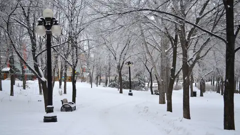 Nieve Nieve