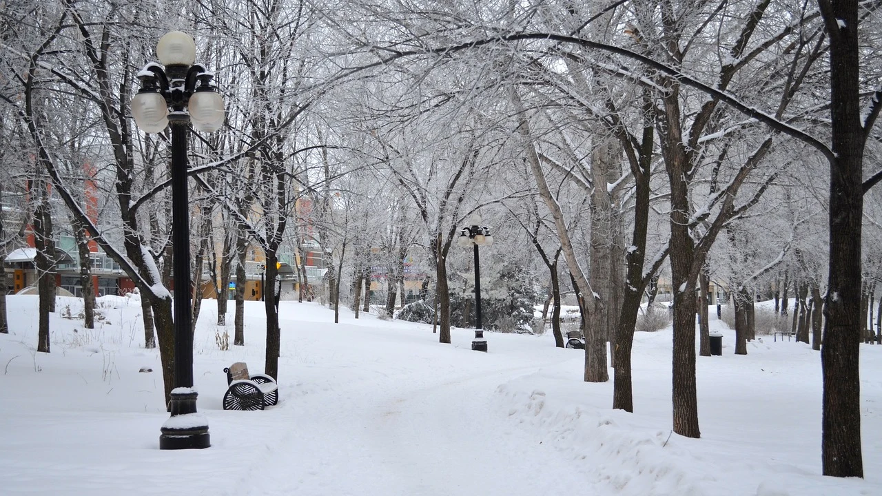 Nieve Nieve