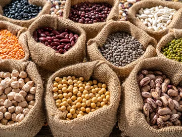 Judías, lentejas y garbanzos en sus variedades Judías, lentejas y garbanzos en sus variedades