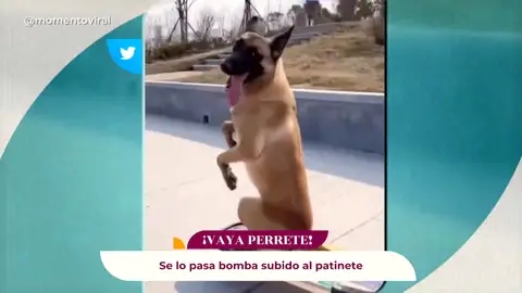 si lo veo me lo creo si lo veo me lo creo