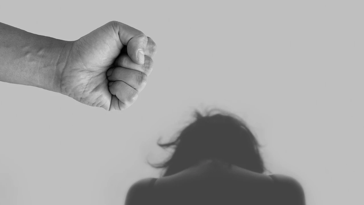 Violencia de género Violencia de género