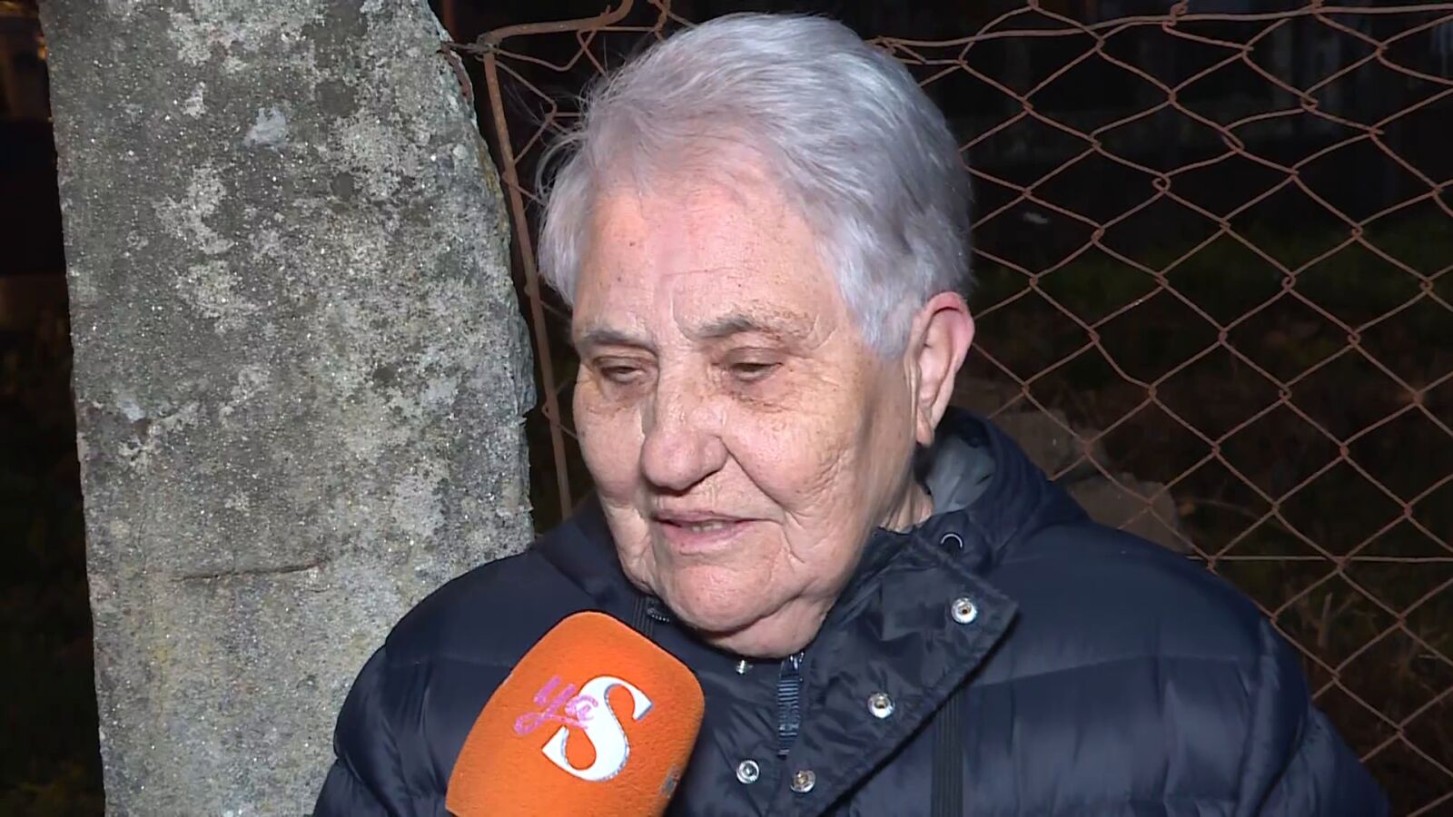 La 'ladrona de berzas' reincide y roba en el huerto de su vecina: 