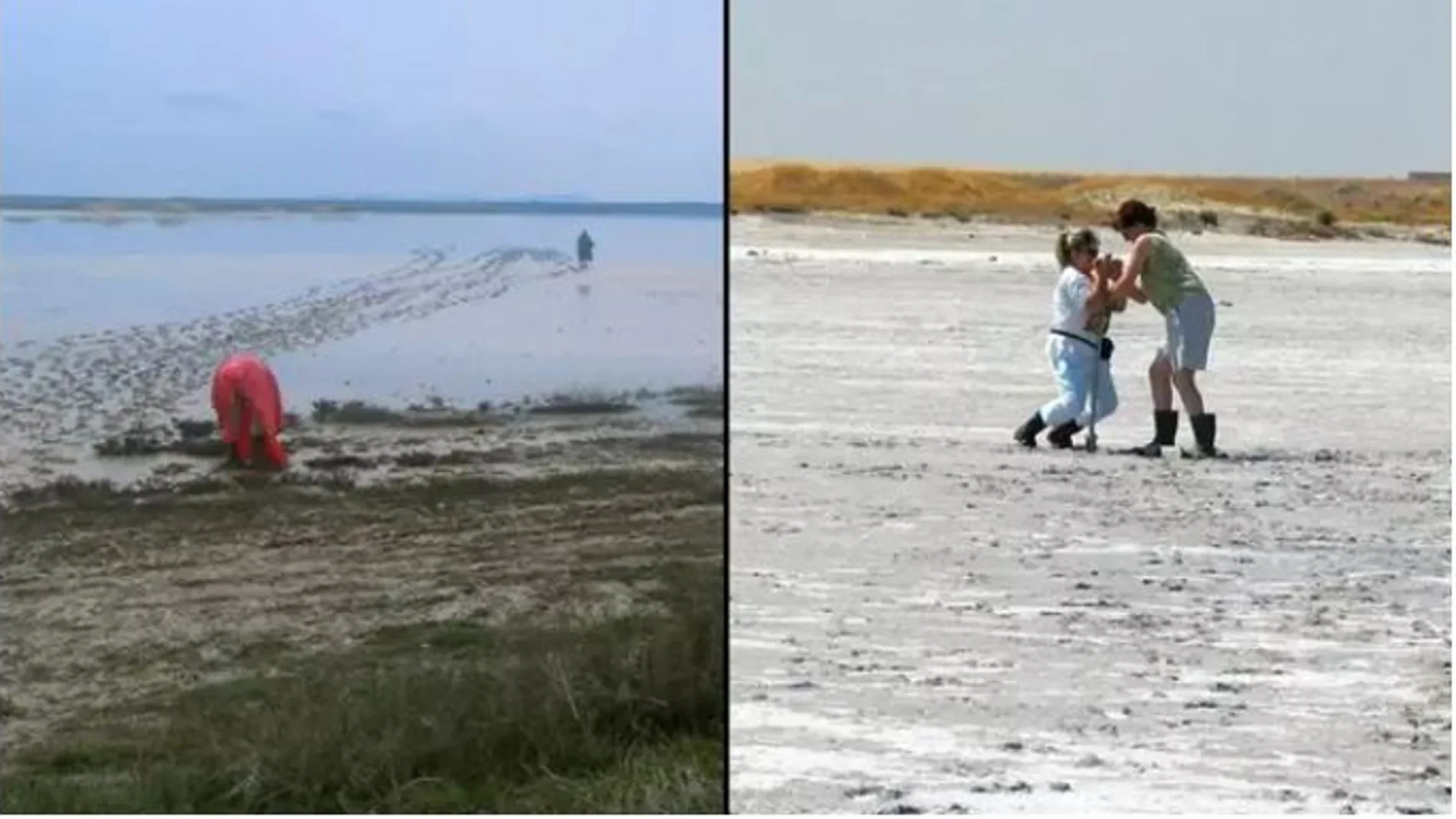 Estudian si hubo vida en Marte en la laguna de Tirez Estudian si hubo vida en Marte en la laguna de Tirez