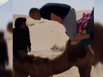 Montar en camello puede ser una experiencia inolvidable... ¡Sobre todo si el animal se cansa de ti!