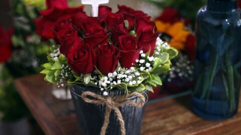 Rosas